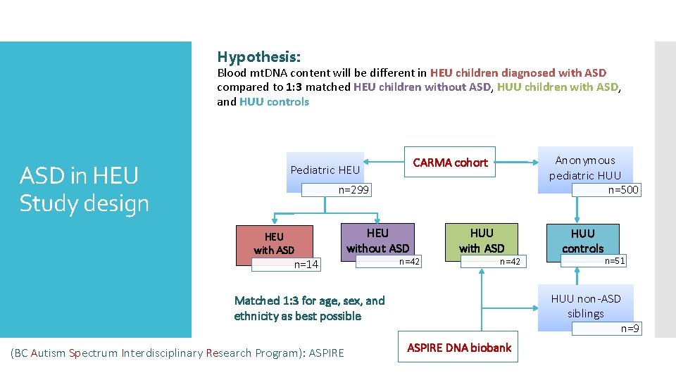 Hypothesis: Blood mt. DNA content will be different in HEU children diagnosed with ASD