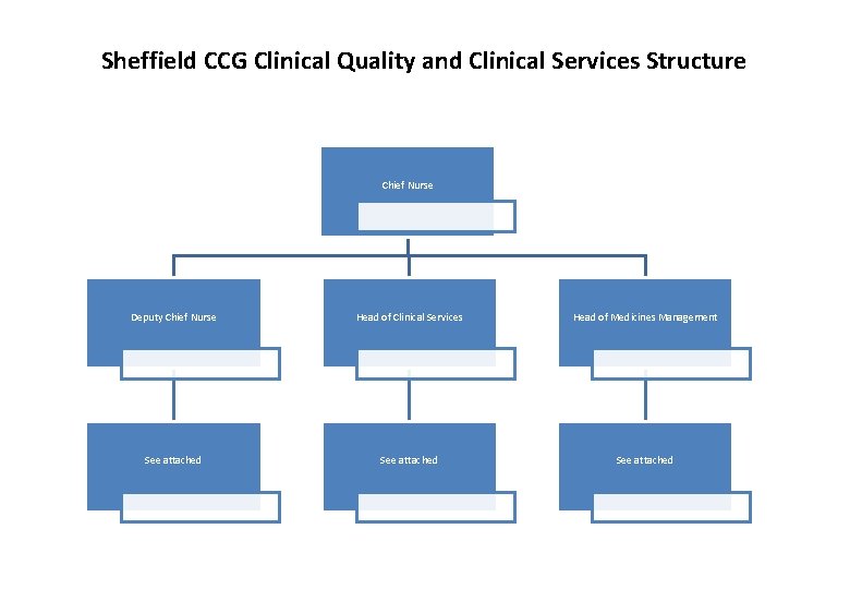 Sheffield CCG Clinical Quality and Clinical Services Structure Chief Nurse Deputy Chief Nurse Head