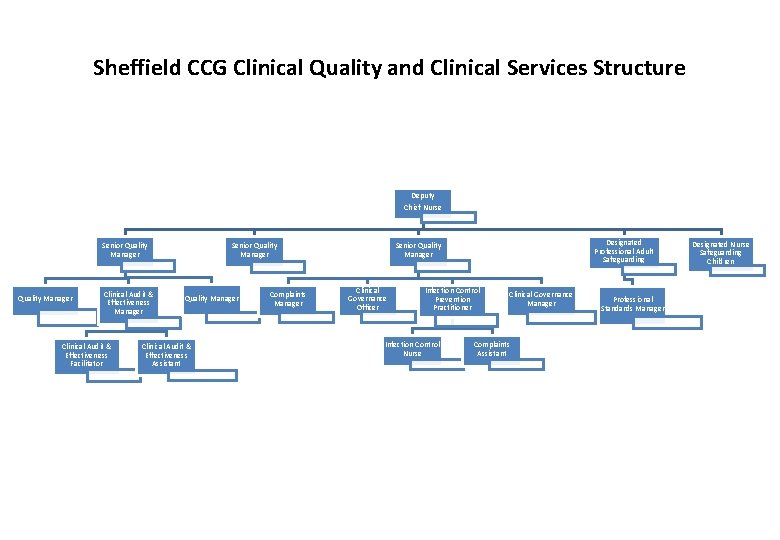 Sheffield CCG Clinical Quality and Clinical Services Structure Deputy Chief Nurse Senior Quality Manager