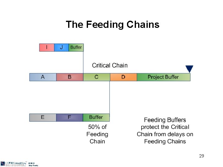 The Feeding Chains 29 © 2012 Skip Reedy 