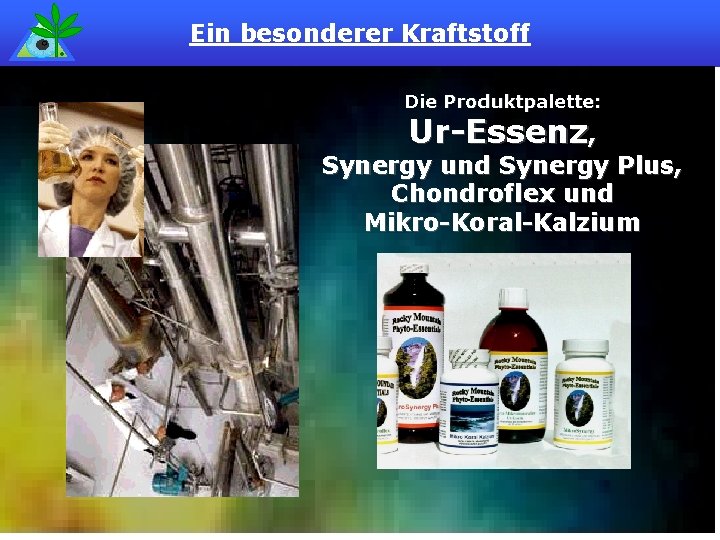 Ein besonderer Kraftstoff Die Produktpalette: Ur-Essenz, Synergy und Synergy Plus, Chondroflex und Mikro-Koral-Kalzium 
