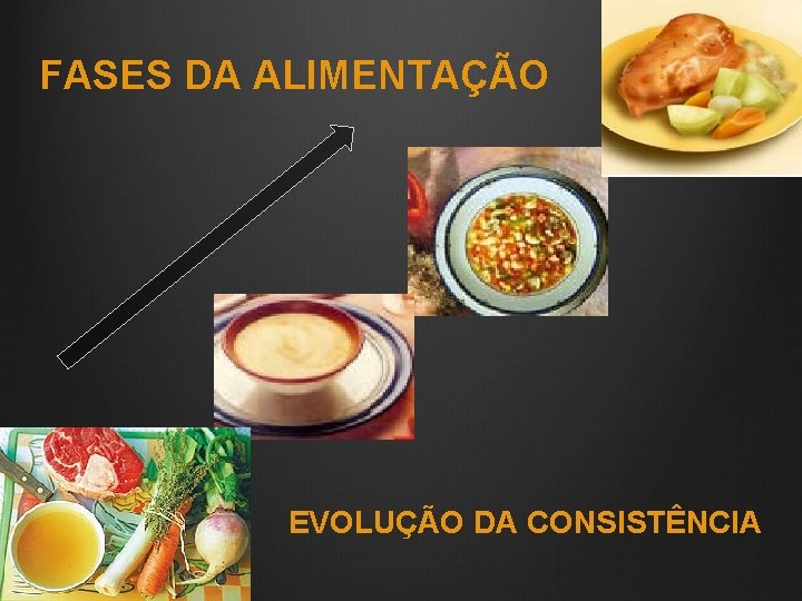 FASES DA ALIMENTAÇÃO EVOLUÇÃO DA CONSISTÊNCIA 