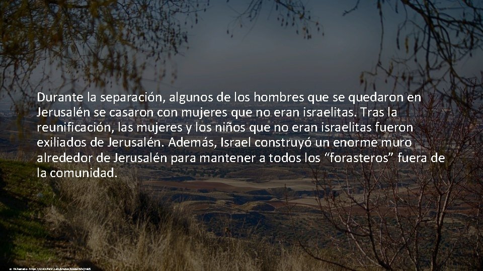 Durante la separación, algunos de los hombres que se quedaron en Jerusalén se casaron