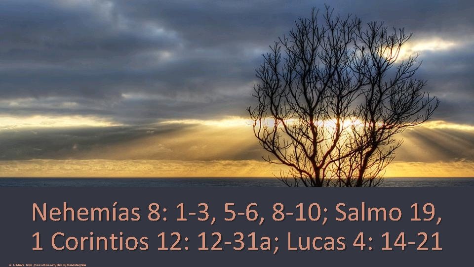 Nehemías 8: 1 -3, 5 -6, 8 -10; Salmo 19, 1 Corintios 12: 12