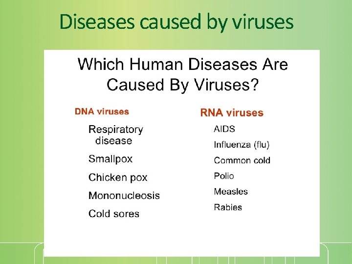 Diseases caused by viruses 