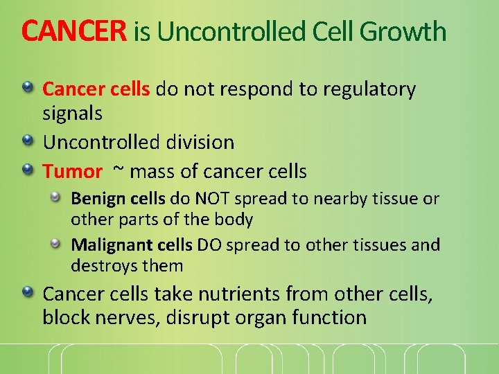 CANCER is Uncontrolled Cell Growth Cancer cells do not respond to regulatory signals Uncontrolled