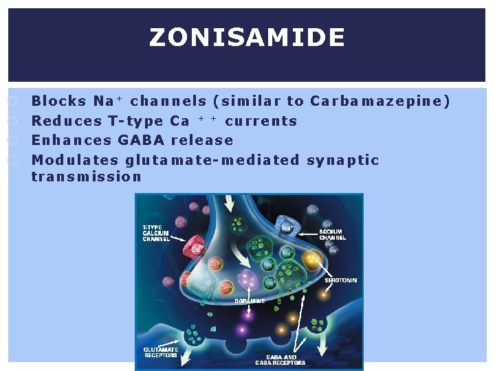 ZONISAMIDE Blocks Na + channels (similar to Carbamazepine) Reduces T-type Ca + + currents