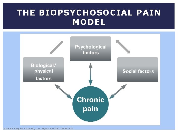 THE BIOPSYCHOSOCIAL PAIN MODEL Gatchel RJ, Peng YB, Peters ML, et al. . Psychol