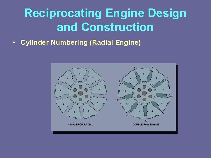 Reciprocating Engine Design and Construction • Cylinder Numbering (Radial Engine) 