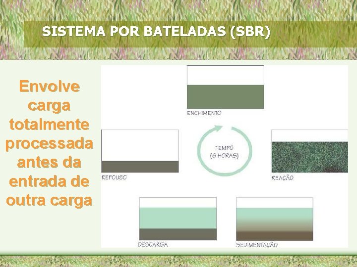 SISTEMA POR BATELADAS (SBR) Envolve carga totalmente processada antes da entrada de outra carga