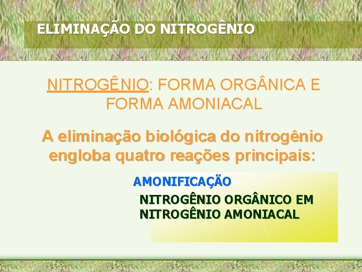 ELIMINAÇÃO DO NITROGÊNIO: FORMA ORG NICA E FORMA AMONIACAL A eliminação biológica do nitrogênio