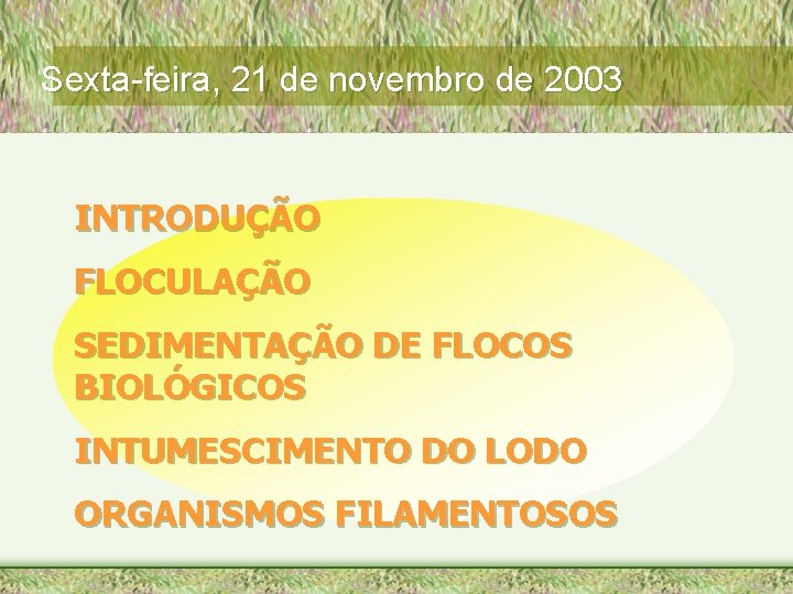 Sexta-feira, 21 de novembro de 2003 INTRODUÇÃO FLOCULAÇÃO SEDIMENTAÇÃO DE FLOCOS BIOLÓGICOS INTUMESCIMENTO DO