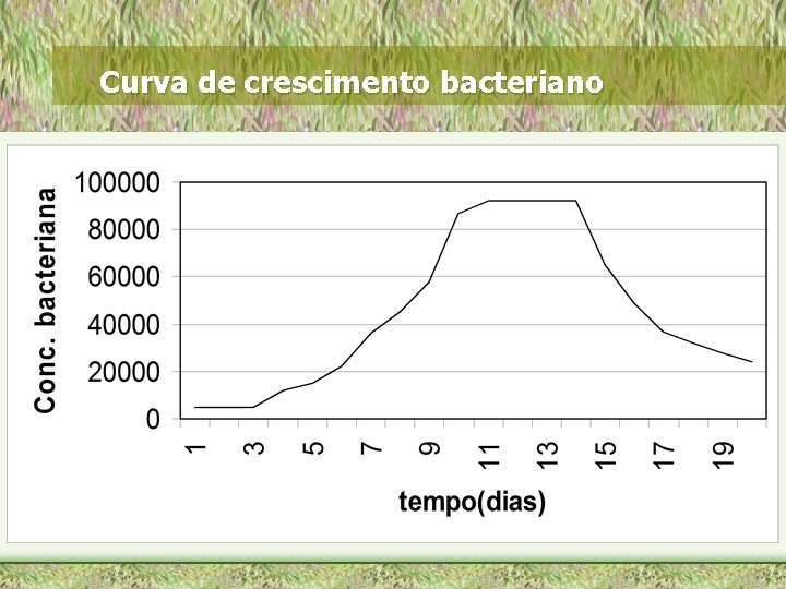 Curva de crescimento bacteriano 