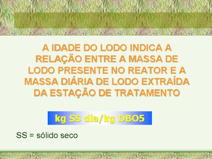 A IDADE DO LODO INDICA A RELAÇÃO ENTRE A MASSA DE LODO PRESENTE NO