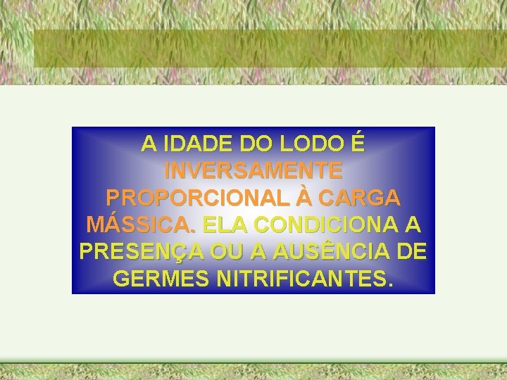 A IDADE DO LODO É INVERSAMENTE PROPORCIONAL À CARGA MÁSSICA. ELA CONDICIONA A PRESENÇA