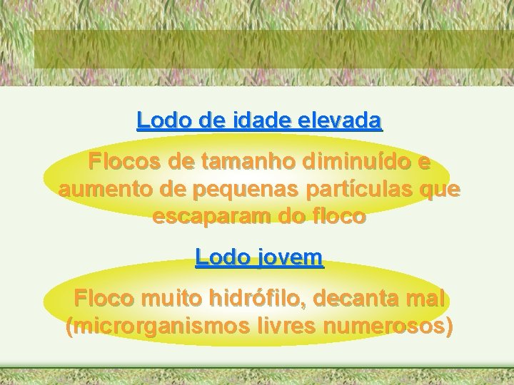 Lodo de idade elevada Flocos de tamanho diminuído e aumento de pequenas partículas que