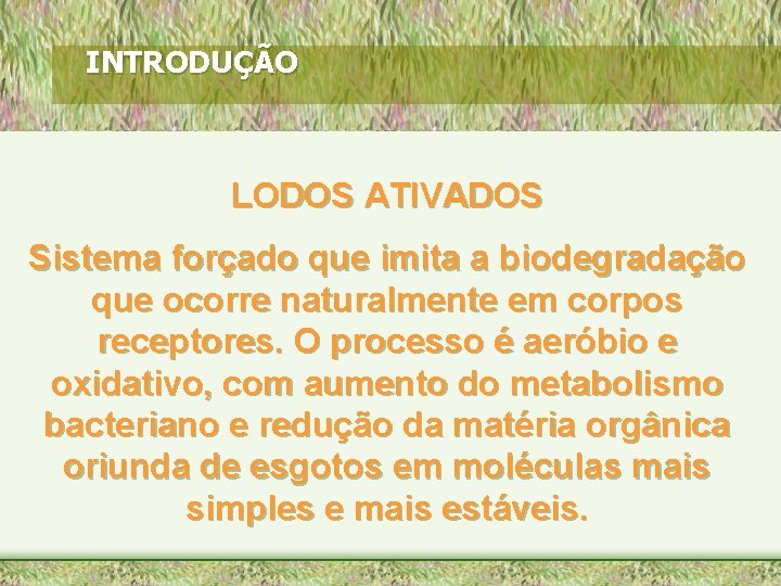 INTRODUÇÃO LODOS ATIVADOS Sistema forçado que imita a biodegradação que ocorre naturalmente em corpos