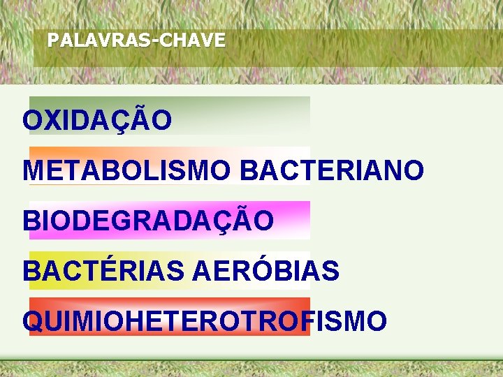PALAVRAS-CHAVE OXIDAÇÃO METABOLISMO BACTERIANO BIODEGRADAÇÃO BACTÉRIAS AERÓBIAS QUIMIOHETEROTROFISMO 
