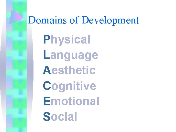 Domains of Development Physical Language Aesthetic Cognitive Emotional Social 