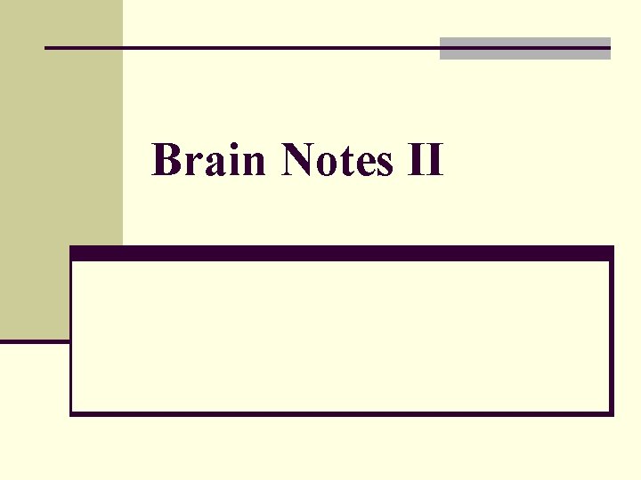 Brain Notes II 