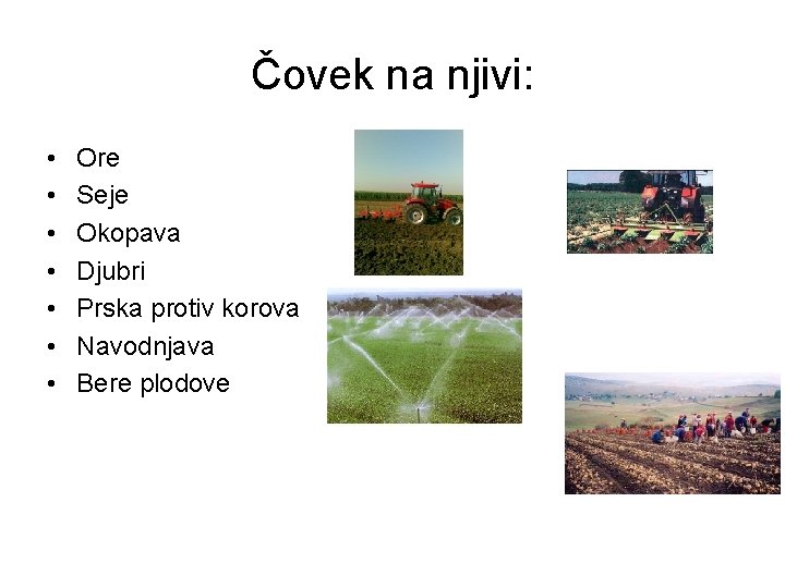 Čovek na njivi: • • Ore Seje Okopava Djubri Prska protiv korova Navodnjava Bere