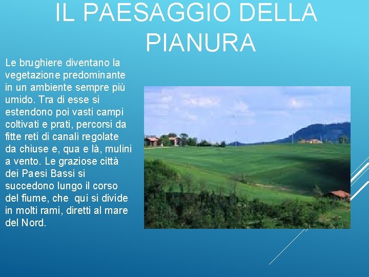 IL PAESAGGIO DELLA PIANURA Le brughiere diventano la vegetazione predominante in un ambiente sempre