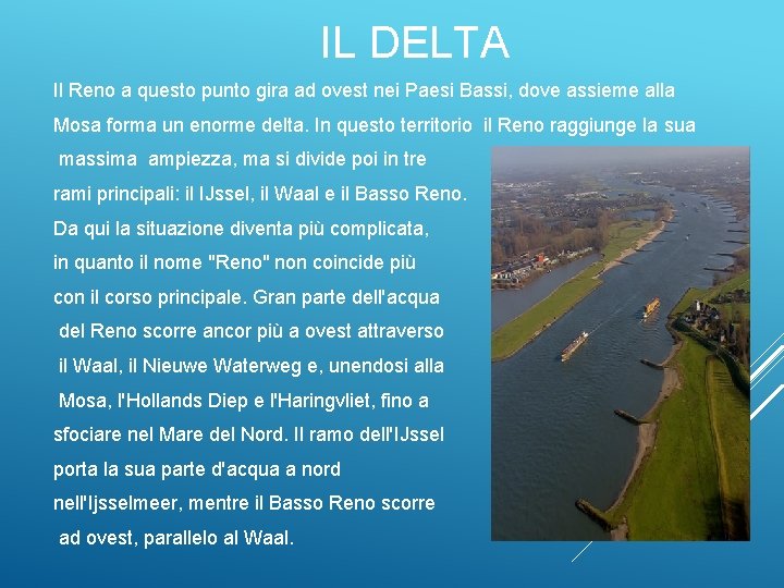 IL DELTA Il Reno a questo punto gira ad ovest nei Paesi Bassi, dove