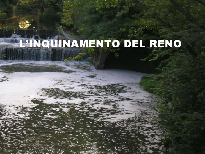 L’INQUINAMENTO DEL RENO 