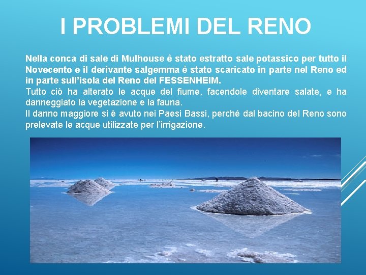 I PROBLEMI DEL RENO Nella conca di sale di Mulhouse è stato estratto sale