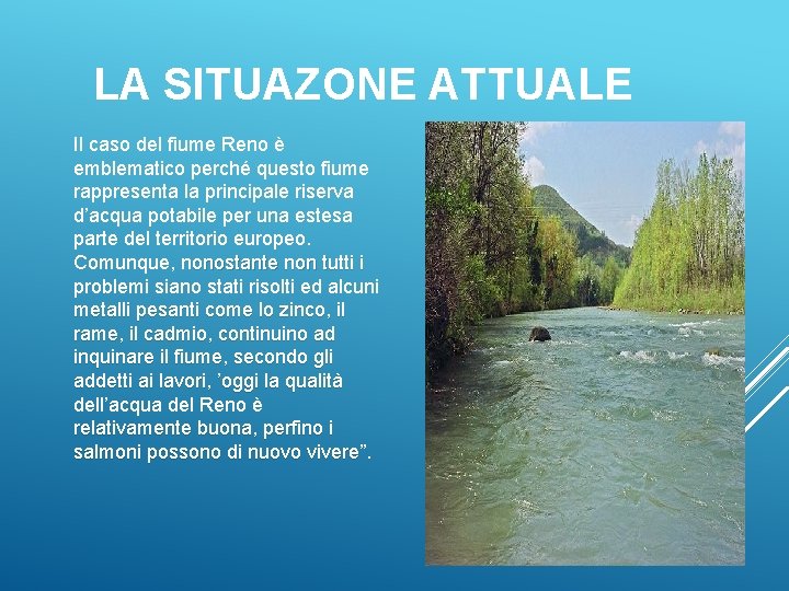 LA SITUAZONE ATTUALE Il caso del fiume Reno è emblematico perché questo fiume rappresenta