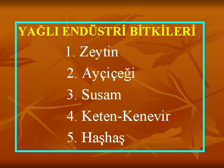 YAĞLI ENDÜSTRİ BİTKİLERİ 1. Zeytin 2. Ayçiçeği 3. Susam 4. Keten-Kenevir 5. Haşhaş 