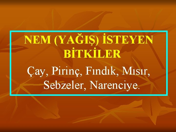 NEM (YAĞIŞ) İSTEYEN BİTKİLER Çay, Pirinç, Fındık, Mısır, Sebzeler, Narenciye. 