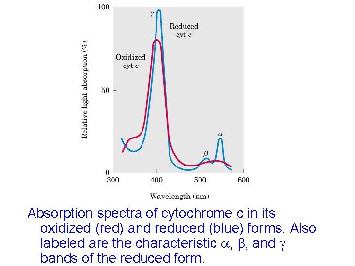 Absorption spectra of cytochrome c in its oxidized (red) and reduced (blue) forms. Also