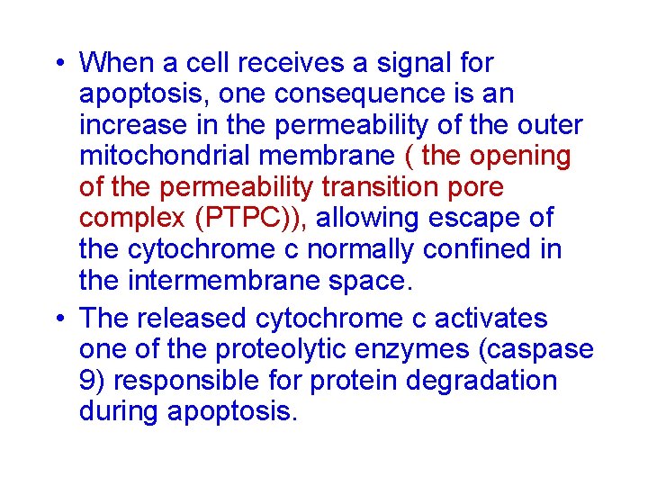  • When a cell receives a signal for apoptosis, one consequence is an