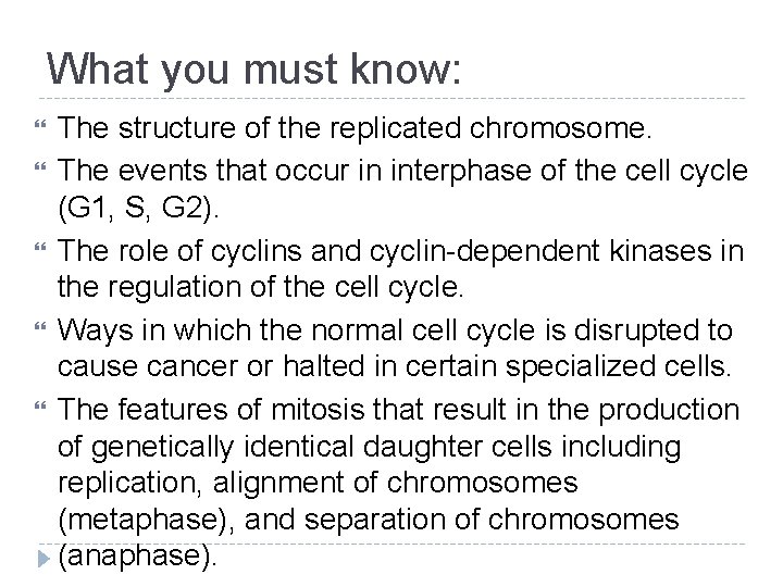 What you must know: The structure of the replicated chromosome. The events that occur What you must know: The structure of the replicated chromosome. The events that occur