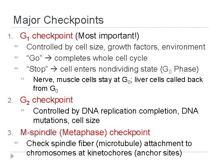 Major Checkpoints G 1 checkpoint (Most important!) 1. Controlled by cell size, growth factors, Major Checkpoints G 1 checkpoint (Most important!) 1. Controlled by cell size, growth factors,