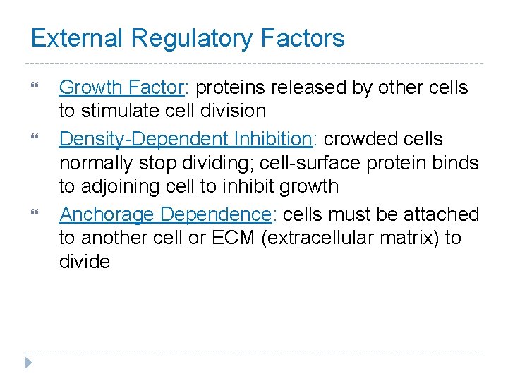 External Regulatory Factors Growth Factor: proteins released by other cells to stimulate cell division External Regulatory Factors Growth Factor: proteins released by other cells to stimulate cell division
