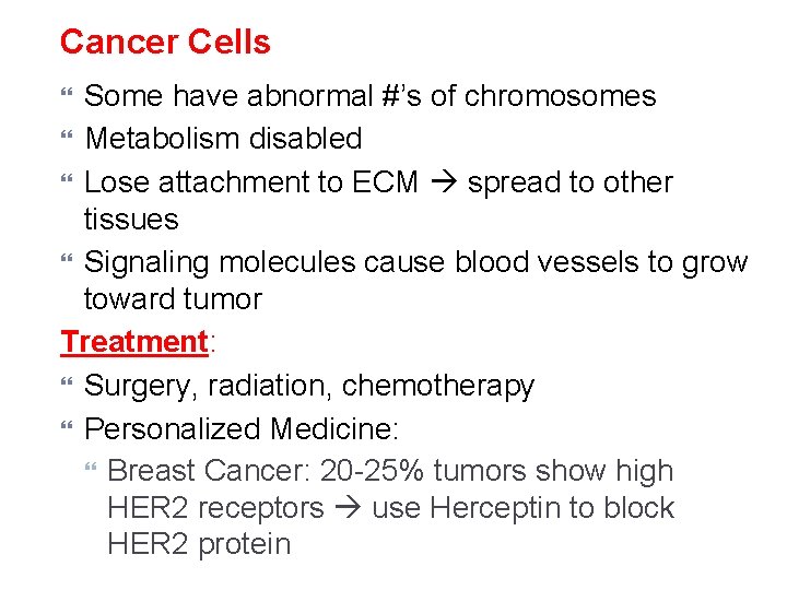 Cancer Cells Some have abnormal #’s of chromosomes Metabolism disabled Lose attachment to ECM Cancer Cells Some have abnormal #’s of chromosomes Metabolism disabled Lose attachment to ECM