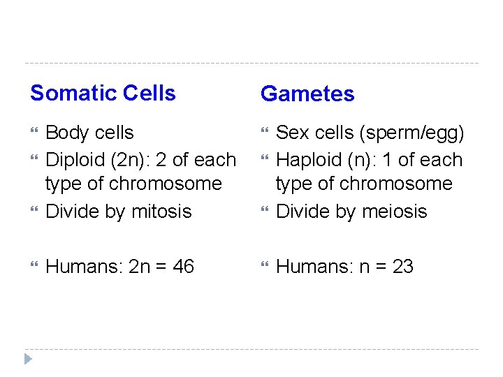 Somatic Cells Gametes Body cells Diploid (2 n): 2 of each type of chromosome Somatic Cells Gametes Body cells Diploid (2 n): 2 of each type of chromosome