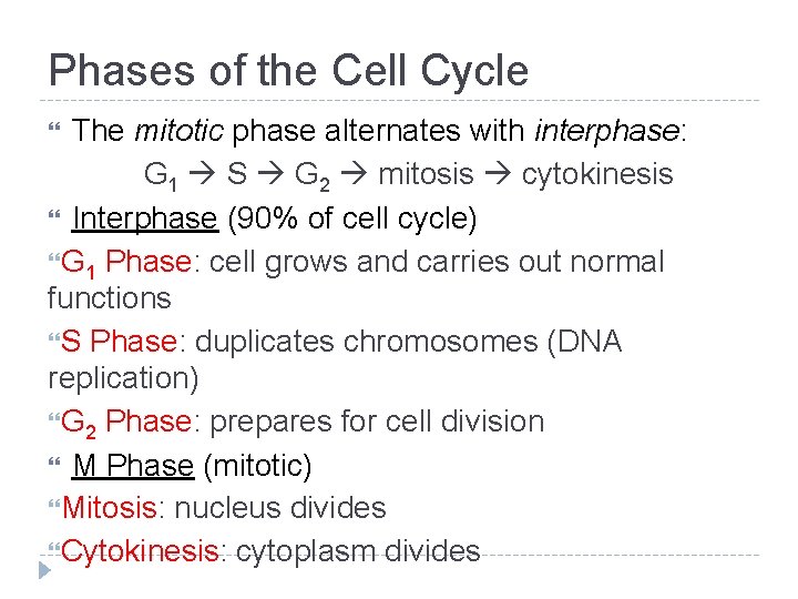 Phases of the Cell Cycle The mitotic phase alternates with interphase: G 1 S Phases of the Cell Cycle The mitotic phase alternates with interphase: G 1 S