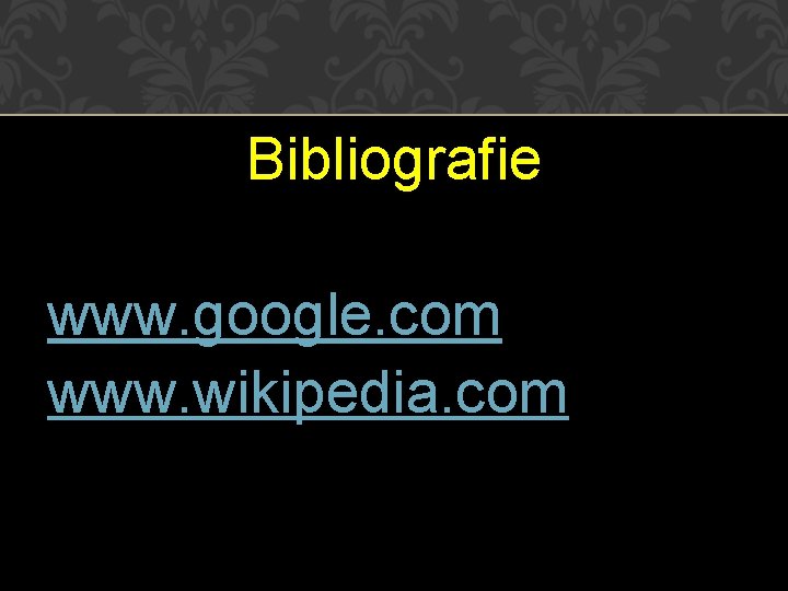 Bibliografie www. google. com www. wikipedia. com 