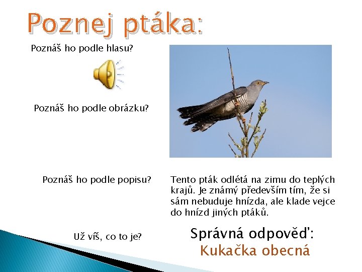 Poznej ptáka: Poznáš ho podle hlasu? Poznáš ho podle obrázku? Poznáš ho podle popisu?