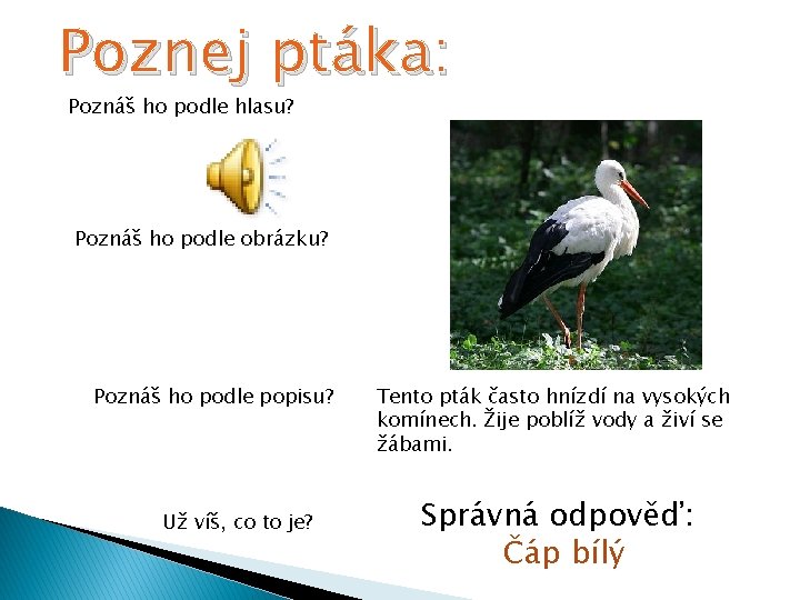 Poznej ptáka: Poznáš ho podle hlasu? Poznáš ho podle obrázku? Poznáš ho podle popisu?