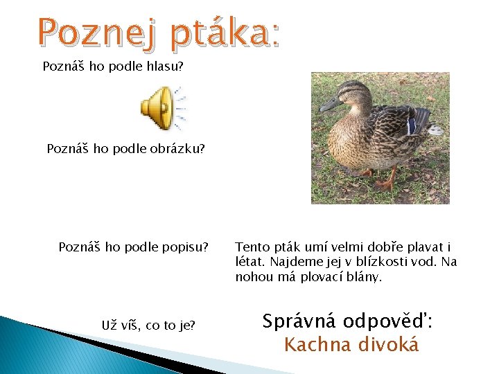 Poznej ptáka: Poznáš ho podle hlasu? Poznáš ho podle obrázku? Poznáš ho podle popisu?