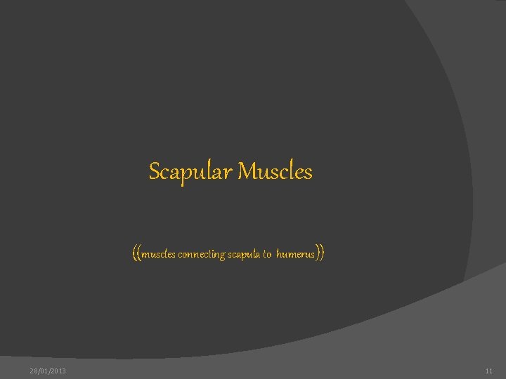 Scapular Muscles ((muscles connecting scapula to humerus)) 28/01/2013 11 