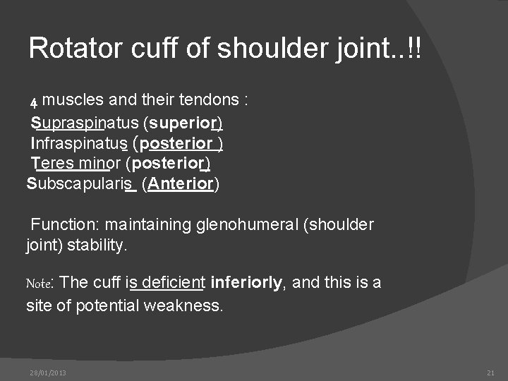 Rotator cuff of shoulder joint. . !! 4 muscles and their tendons : Supraspinatus