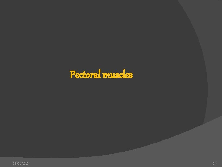 Pectoral muscles 28/01/2013 24 