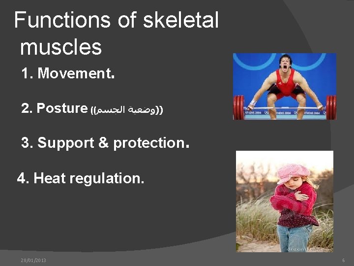 Functions of skeletal muscles 1. Movement. 2. Posture (( ))ﻭﺿﻌﻴﺔ ﺍﻟﺠﺴﻢ 3. Support &