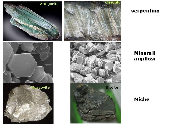 Antigorite Crisotilo serpentino Minerali argillosi Muscovite Biotite Miche 