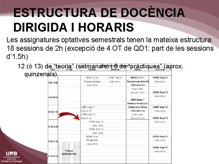 ESTRUCTURA DE DOCÈNCIA DIRIGIDA I HORARIS Les assignatures optatives semestrals tenen la mateixa estructura: